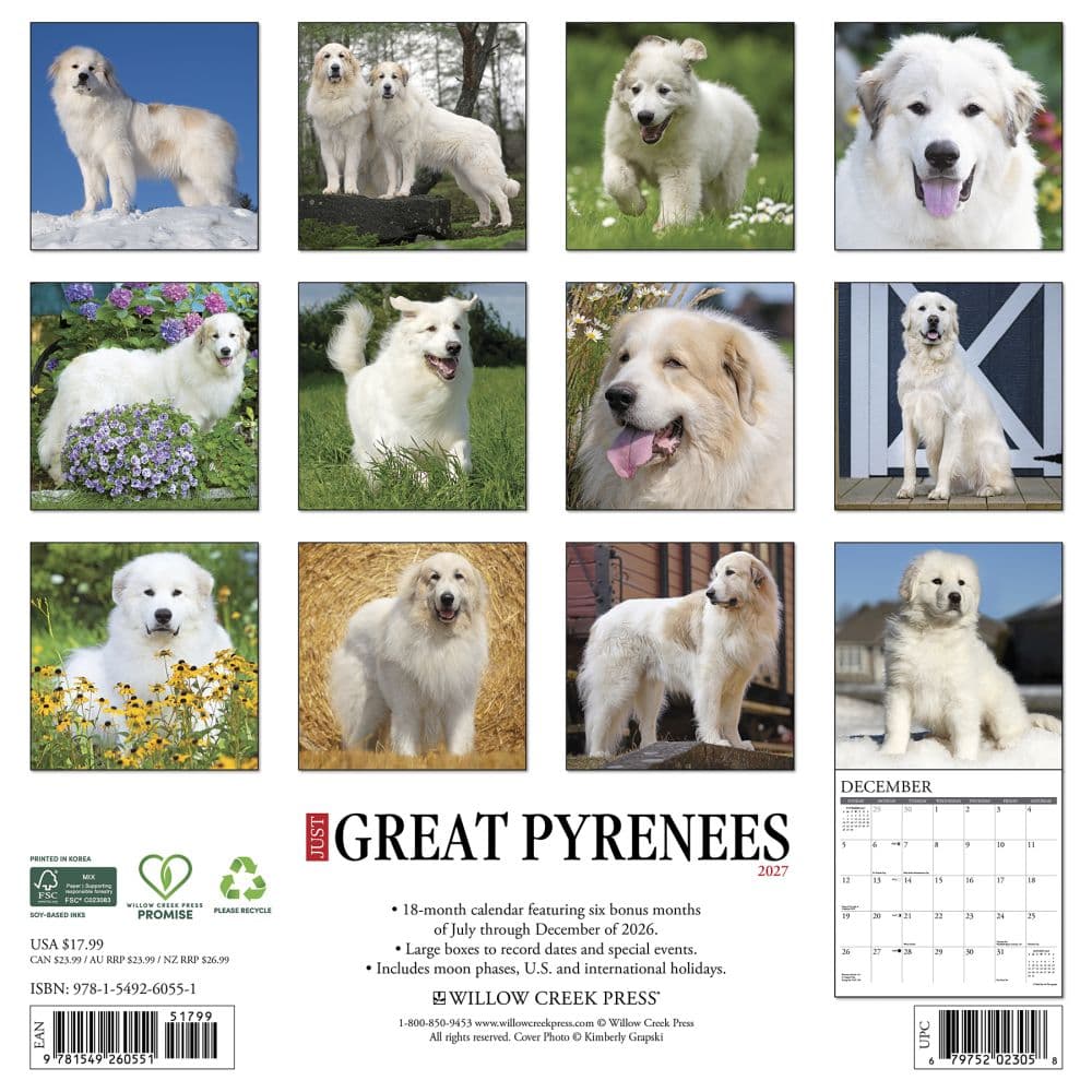 Great Pyrenees 2027 Wall Calendar First Alternate Image