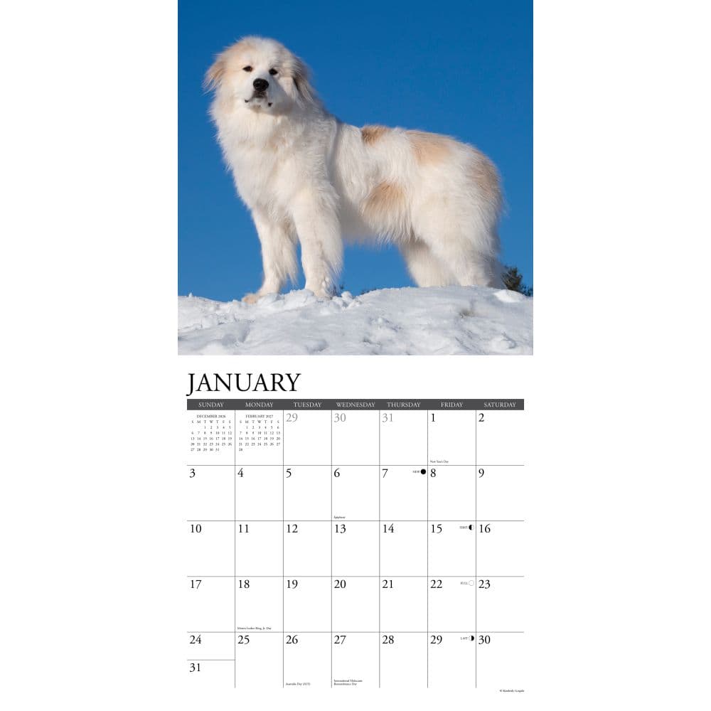 Great Pyrenees 2027 Wall Calendar Second Alternate Image