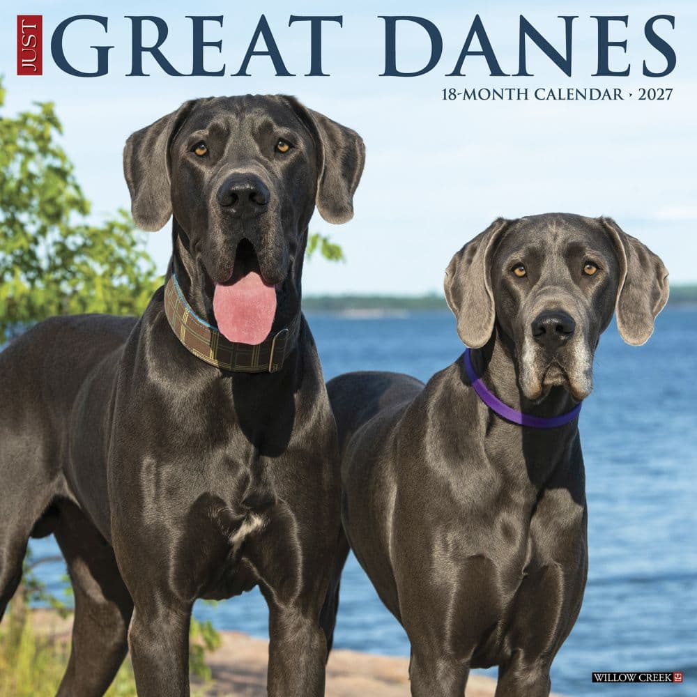 Just Great Danes 2027 Wall Calendar Main Product Image
