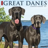 image Just Great Danes 2027 Wall Calendar Main Product Image