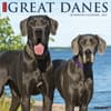 image Just Great Danes 2027 Wall Calendar Main Product Image