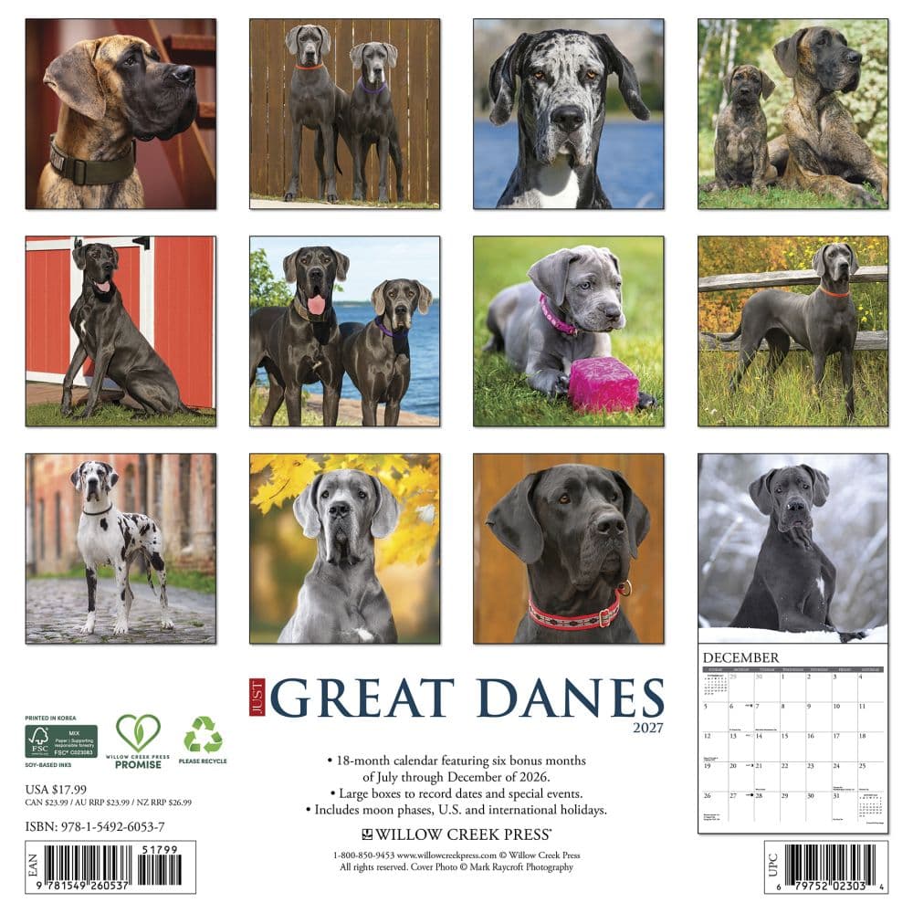 Just Great Danes 2027 Wall Calendar First Alternate Image