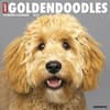 image Just Goldendoodles 2027 Wall Calendar Main Product Image