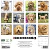 image Just Goldendoodles 2027 Wall Calendar First Alternate Image