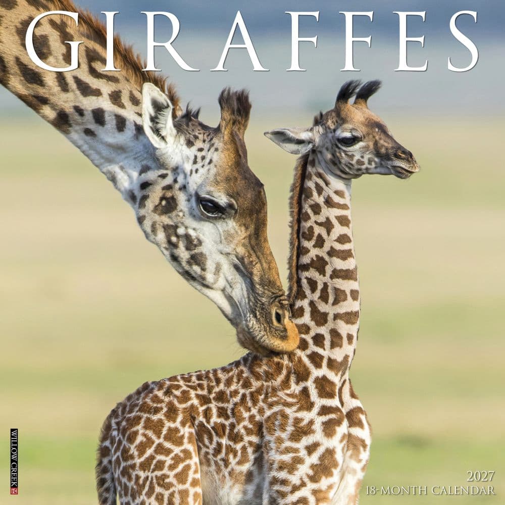 image Giraffes 2027 Wall Calendar Main Product Image