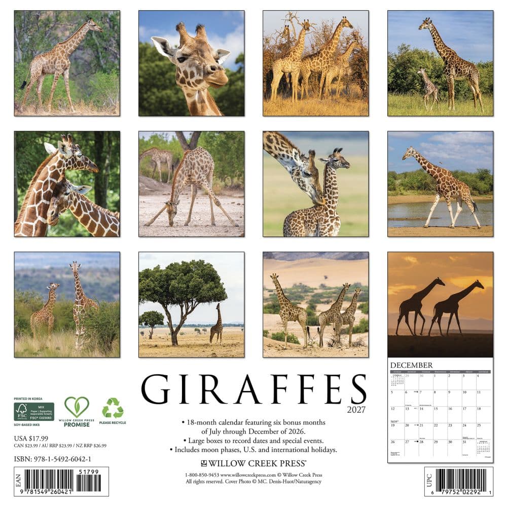 Giraffes 2027 Wall Calendar First Alternate Image