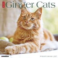 image Ginger Cats 2027 Wall Calendar Main Product Image