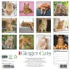 image Ginger Cats 2027 Wall Calendar First Alternate Image