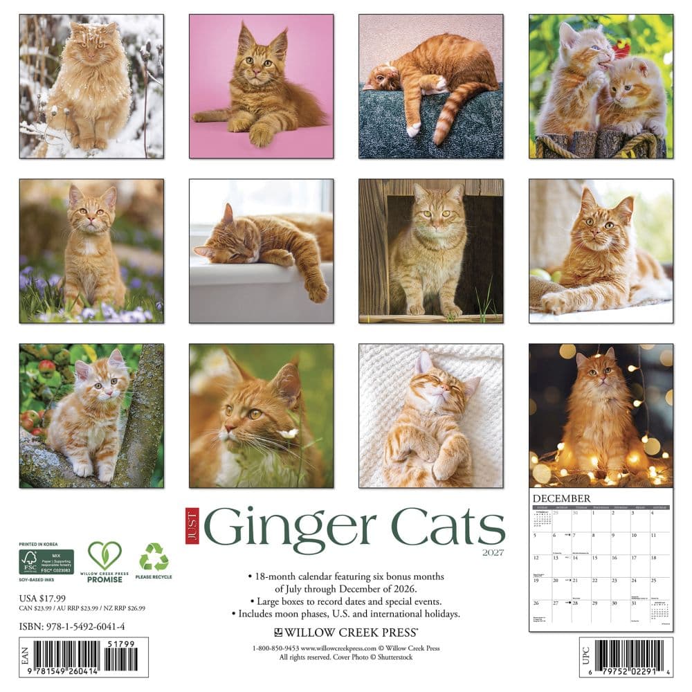 Ginger Cats 2027 Wall Calendar First Alternate Image