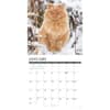 image Ginger Cats 2027 Wall Calendar Second Alternate Image