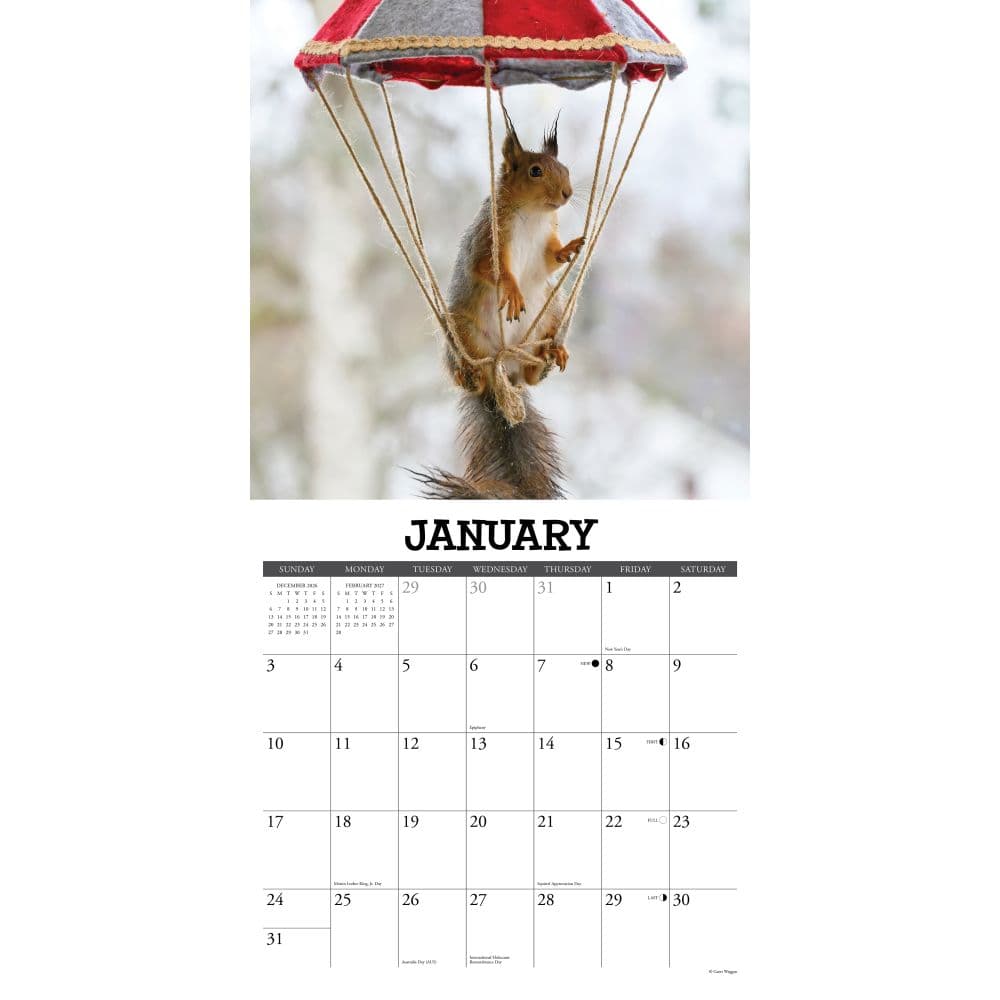 Getting Squirrelly 2027 Wall Calendar Second Alternate Image