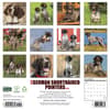 image Just German Shorthaired Pointers 2027 Wall Calendar First Alternate Image