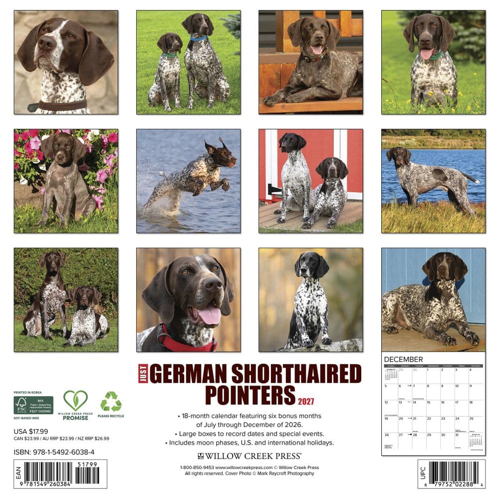 Just German Shorthaired Pointers 2027 Wall Calendar First Alternate Image