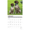 image Just German Shorthaired Pointers 2027 Wall Calendar Second Alternate Image