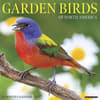 image Garden Birds 2027 Wall Calendar Main Product Image