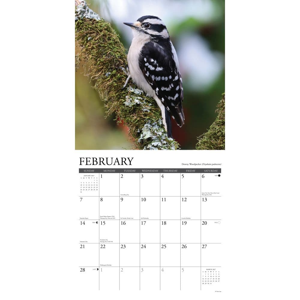 Garden Birds 2027 Wall Calendar Second Alternate Image