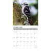image Garden Birds 2027 Wall Calendar Second Alternate Image