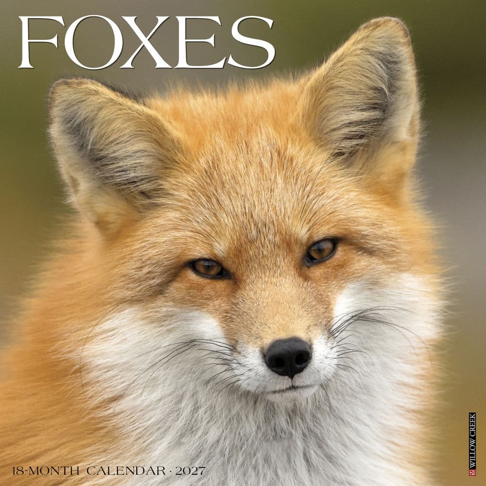 Foxes 2027 Wall Calendar Main Product Image
