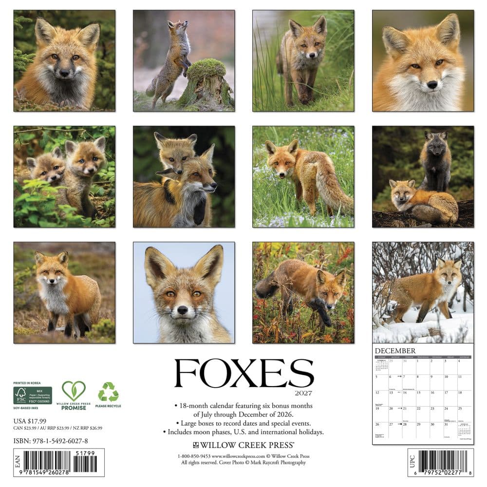 Foxes 2027 Wall Calendar First Alternate Image