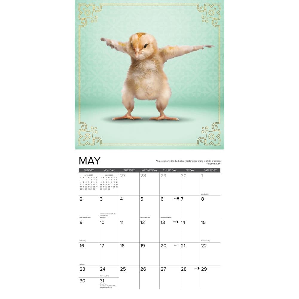 Farm Yoga 2027 Wall Calendar Second Alternate Image