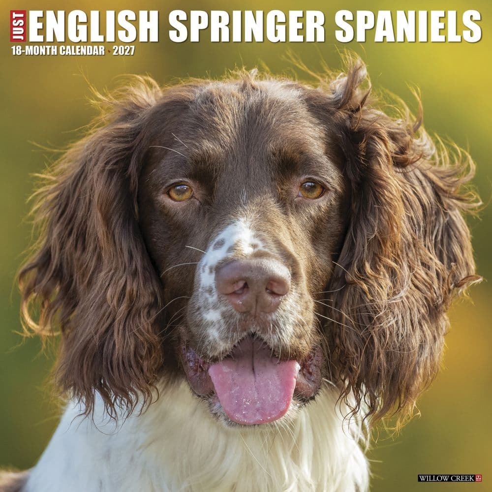 Just English Springer Spaniels 2027 Wall Calendar Main Product Image