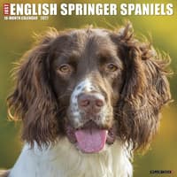 image Just English Springer Spaniels 2027 Wall Calendar Main Product Image