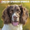 image Just English Springer Spaniels 2027 Wall Calendar Main Product Image