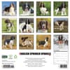 image Just English Springer Spaniels 2027 Wall Calendar First Alternate Image