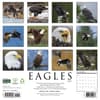 image Eagles 2027 Wall Calendar First Alternate Image