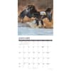 image Eagles 2027 Wall Calendar Second Alternate Image