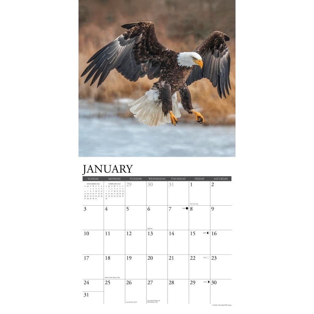 Eagles 2027 Wall Calendar Second Alternate Image