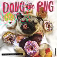 image Doug the Pug 2027 Wall Calendar Main Product Image