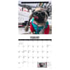 image Doug the Pug 2027 Wall Calendar Second Alternate Image