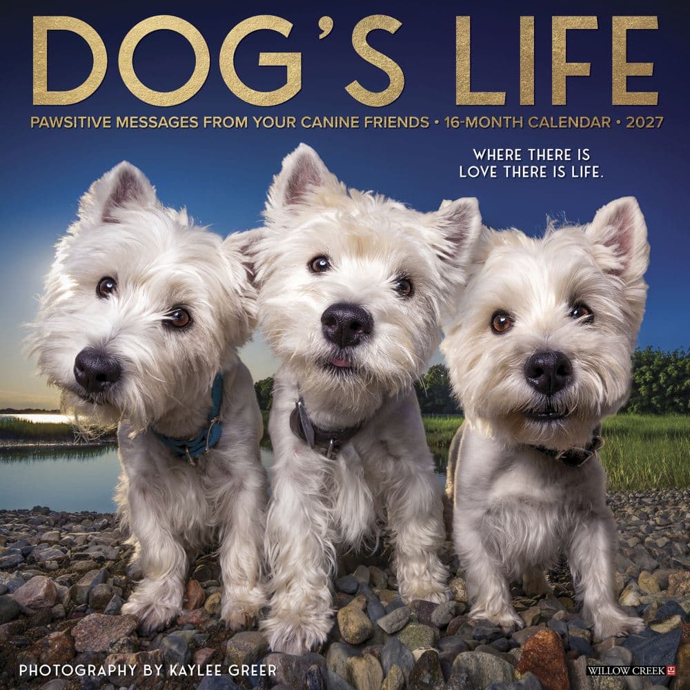 image Dogs Life 2027 Wall Calendar Main Product Image