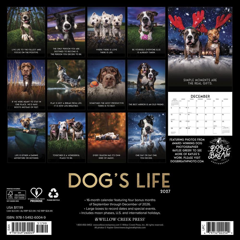 Dogs Life 2027 Wall Calendar First Alternate Image