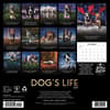 image Dogs Life 2027 Wall Calendar First Alternate Image