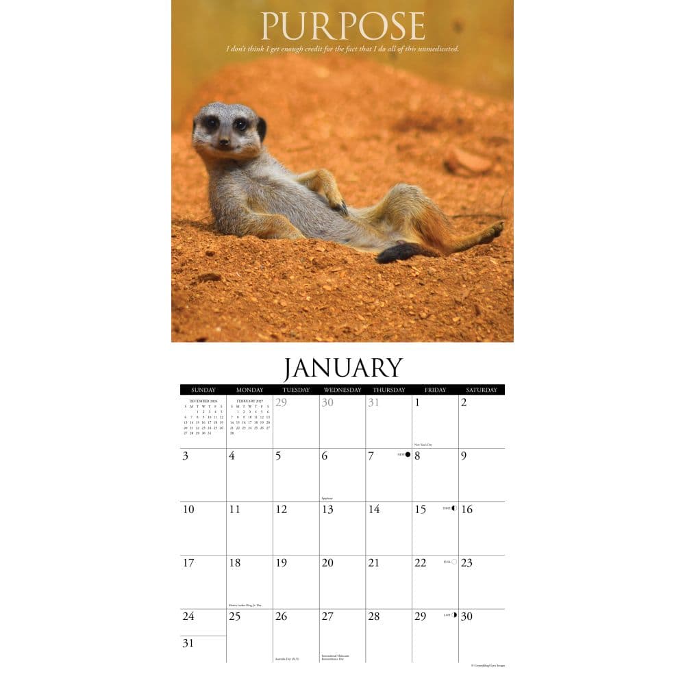 Demotivationals 2027 Wall Calendar Second Alternate Image