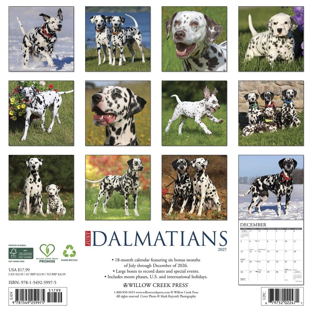 Just Dalmatians 2027 Wall Calendar First Alternate Image