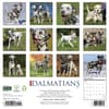 image Just Dalmatians 2027 Wall Calendar First Alternate Image