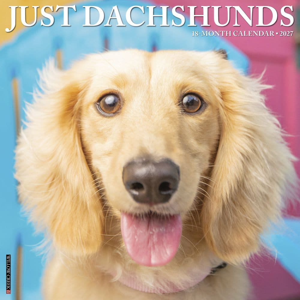 image Just Dachshunds 2027 Wall Calendar Main Product Image