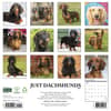 image Just Dachshunds 2027 Wall Calendar First Alternate Image