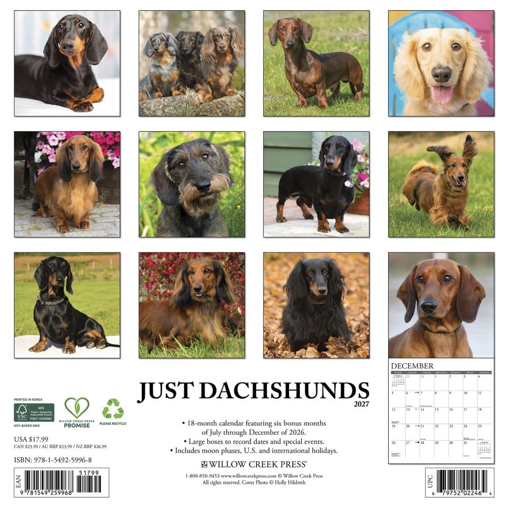 Just Dachshunds 2027 Wall Calendar First Alternate Image