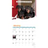 image Crusoe the Celebrity Dachshund 2027 Wall Calendar Second Alternate Image