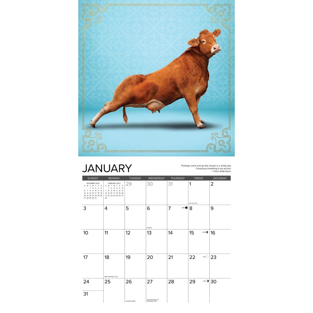 Cow Yoga 2027 Wall Calendar Second Alternate Image