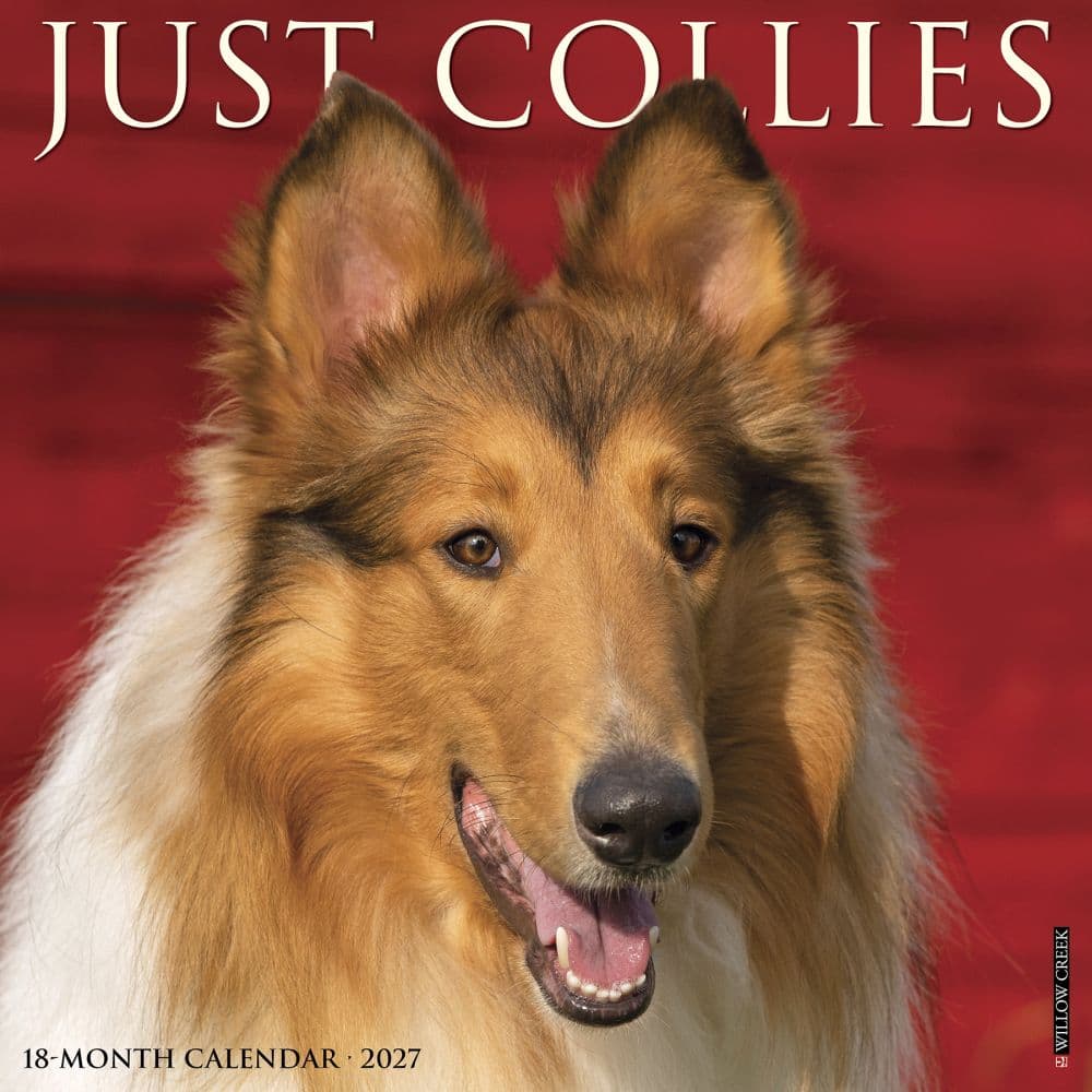 Collies 2027 Wall Calendar Main Product Image