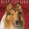 image Collies 2027 Wall Calendar Main Product Image