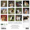 image Collies 2027 Wall Calendar First Alternate Image