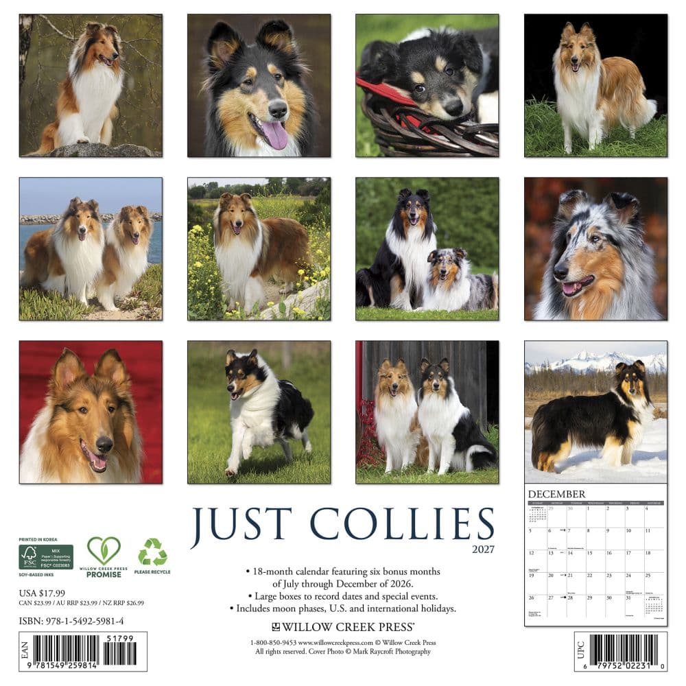 Collies 2027 Wall Calendar First Alternate Image