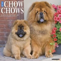 image Just Chow Chows 2027 Wall Calendar Main Product Image