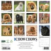 image Just Chow Chows 2027 Wall Calendar First Alternate Image